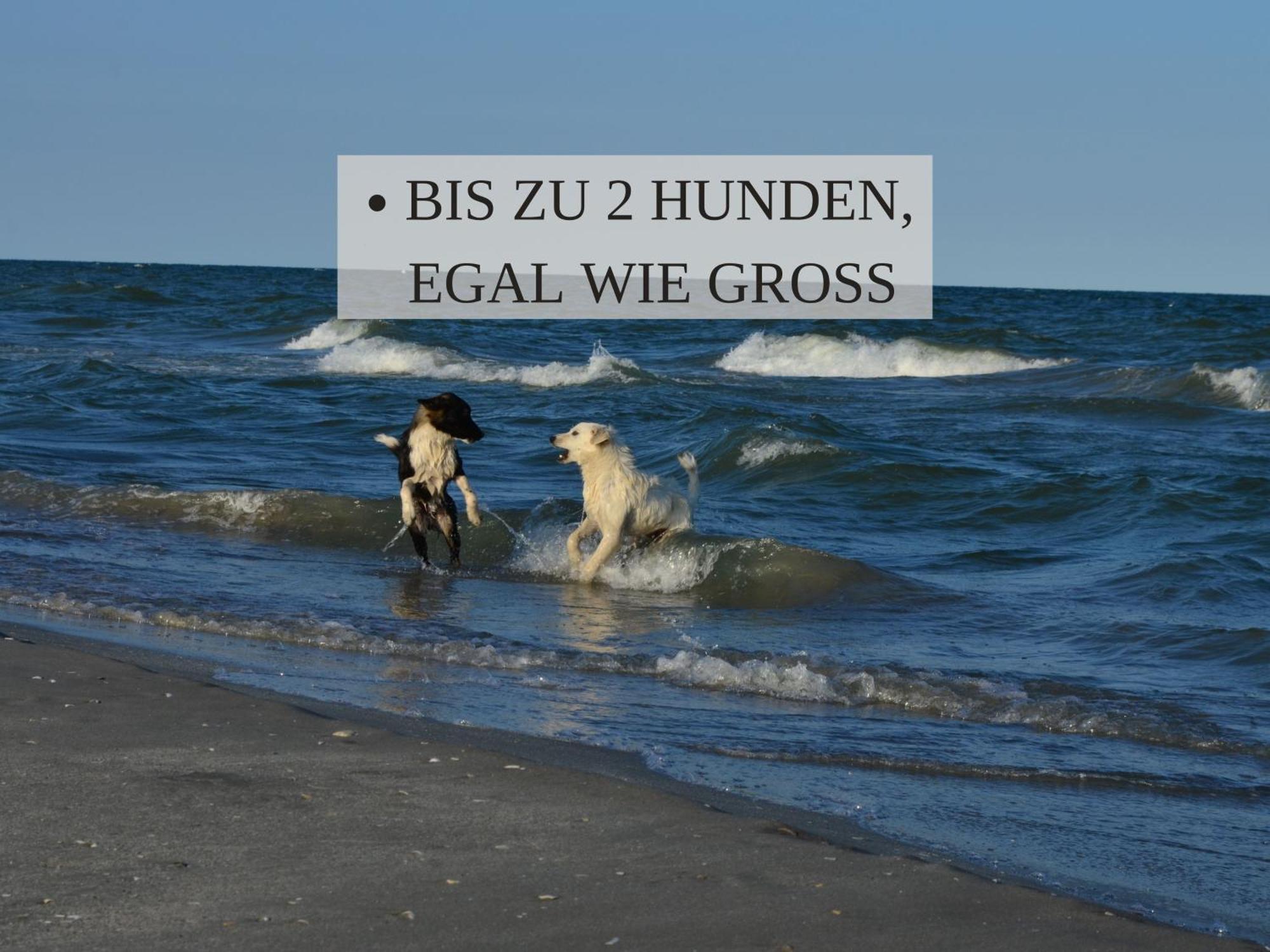 Haus Krabbe, Apartment 10, Naehe Bremerhaven, Fuer 1-2 Personen, 2 Schlafzimmer, Einzelbetten, Zweite Etage, Zentral Gelegen, Bis Zu 2 Hunden Kostenfrei Willkommen Wremen Exteriér fotografie